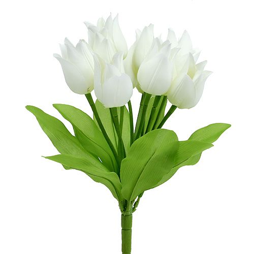 Tulpenbusch Weiß 30cm Tulpenbusch Weiß 30cm