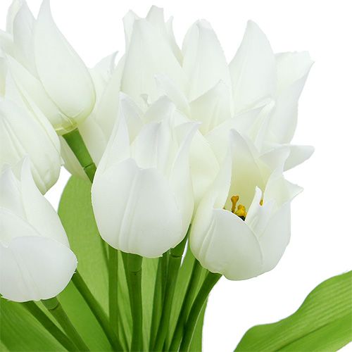 Tulpenbusch Weiß 30cm