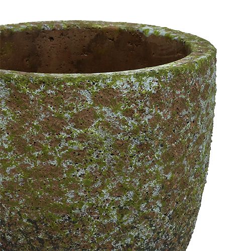 Floristik24 Übertopf bemoost Grau, Grün Ø14cm H14cm 2St