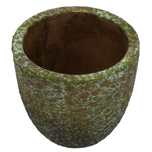 Floristik24 Übertopf bemoost Grau, Grün Ø14cm H14cm 2St
