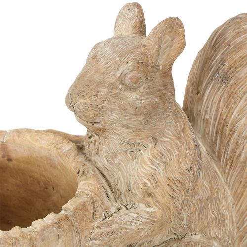 Artikel Übertopf mit Eichhörnchen Steinguss Deko 26×14×19cm