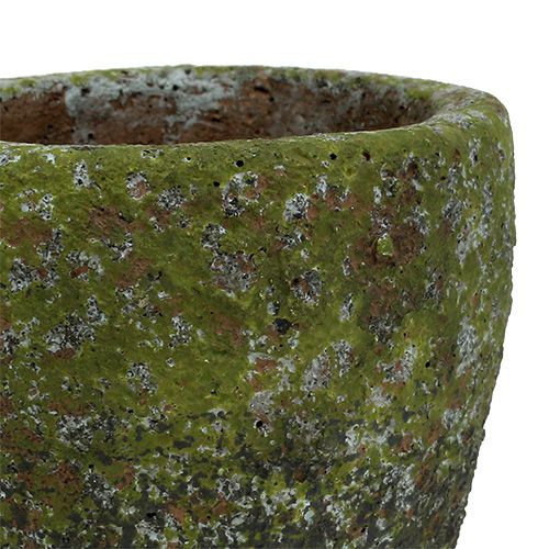 Floristik24 Übertopf mit Moos Ø10cm H10,5cm 4St