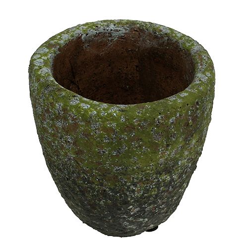 Floristik24 Übertopf mit Moos Ø10cm H10,5cm 4St