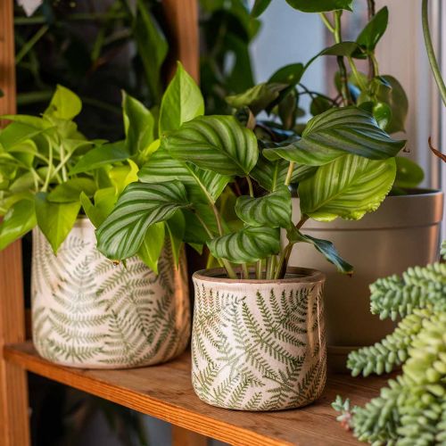 Floristik24 Übertopf Steingut Farn Pflanzkübel Keramik Ø15/10,5cm 2er-Set