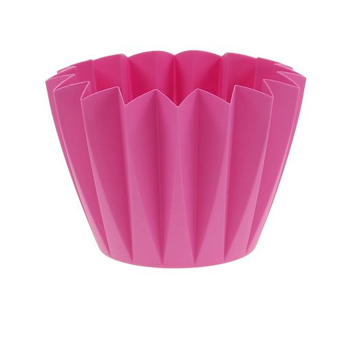 Floristik24 Umtopf Adonis Azalee 14cm 20St