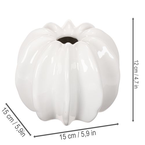 Kürbis-Keramikvase weiß 15cm Dekoration für Zuhause | Floristik24.at
