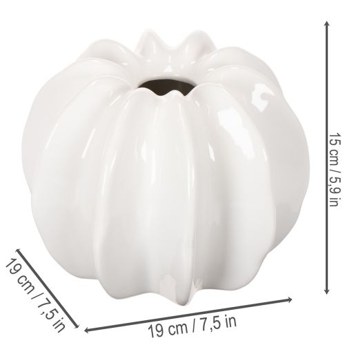Kürbis-Dekovase Keramik weiß glänzend 19cm für Wohnzimmerdeko | Floristik24.at