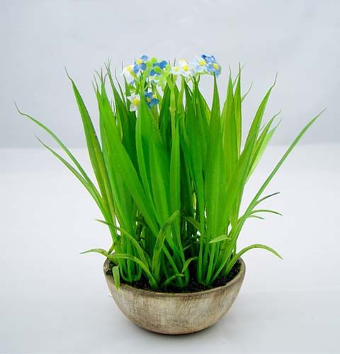 Floristik24 Vergissmeinnicht mit Gras und Schale 18cm