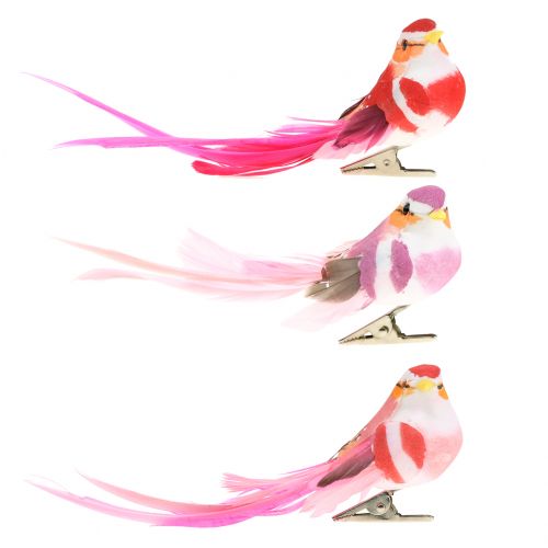 Floristik24 Vogel am Clip Pink, Rosa 15cm 12St