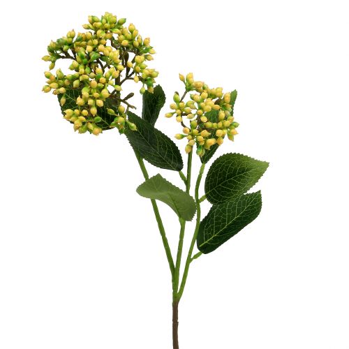 Floristik24 Viburnum Beerenzweig 54cm Gelb 4St