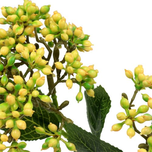 Floristik24 Viburnum Beerenzweig 54cm Gelb 4St