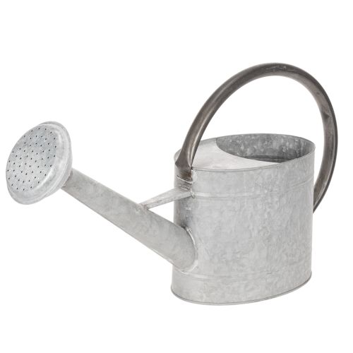 Gießkanne Metall silbergrau 53x29cm Balkon Terrasse Wohnbereich bestellen | Floristik24.at
