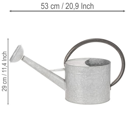 Gießkanne Metall silbergrau 53x29cm Balkon Terrasse Wohnbereich | Floristik24.at