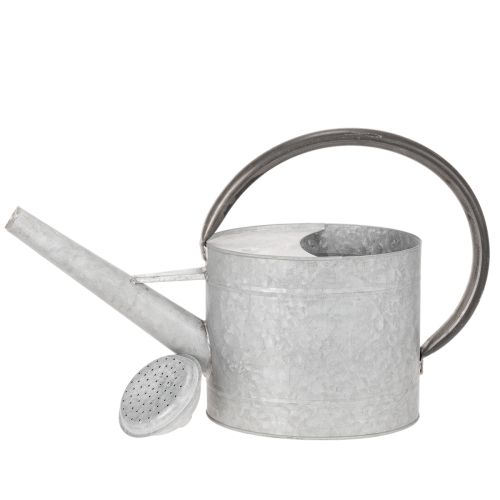 Gießkanne Metall silbergrau 53x29cm Balkon Terrasse Wohnbereich | Floristik24.at