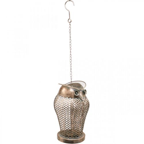 Floristik24 Vintage Laterne Eule Gartenlaterne Teelichthalter Gold H29cm