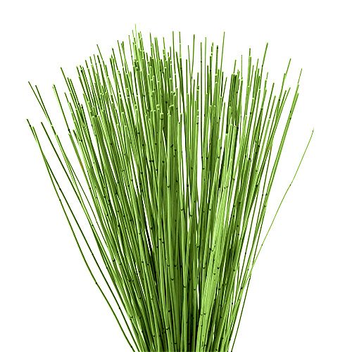 Floristik24 Vlei Reed 400g Hellgrün