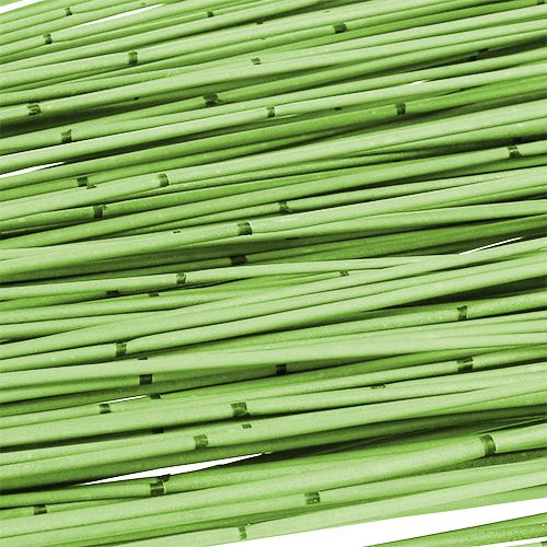 Floristik24 Vlei Reed 400g Hellgrün