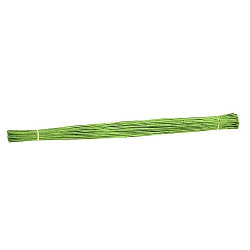 Floristik24 Vlei Reed 400g Hellgrün