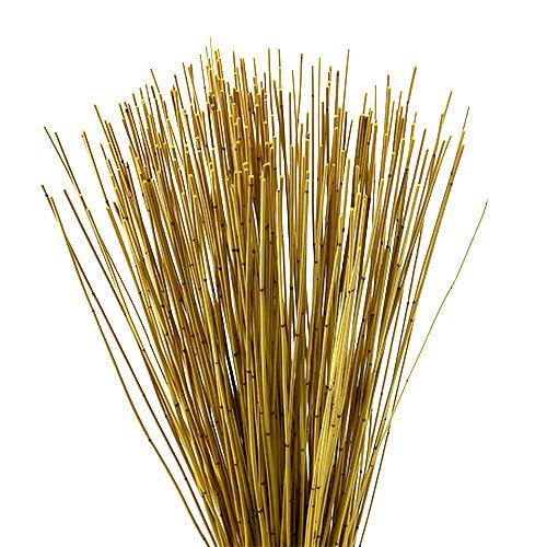 Floristik24 Vlei Reed 400g Gelb