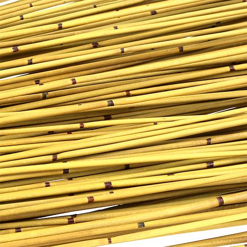 Floristik24 Vlei Reed 400g Gelb
