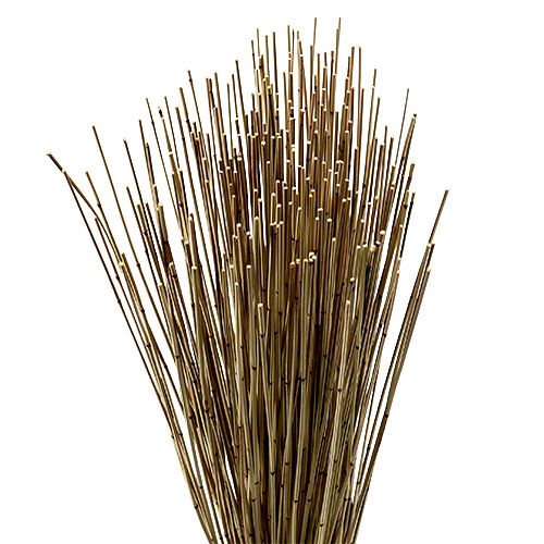 Floristik24 Vlei Reed 400g Natur