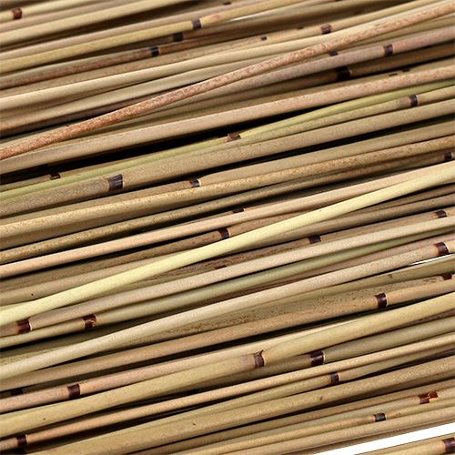 Floristik24 Vlei Reed 400g Natur