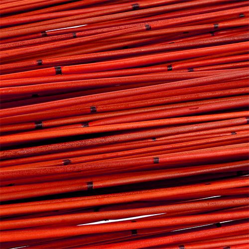 Artikel Vlei Reed 400g Rot