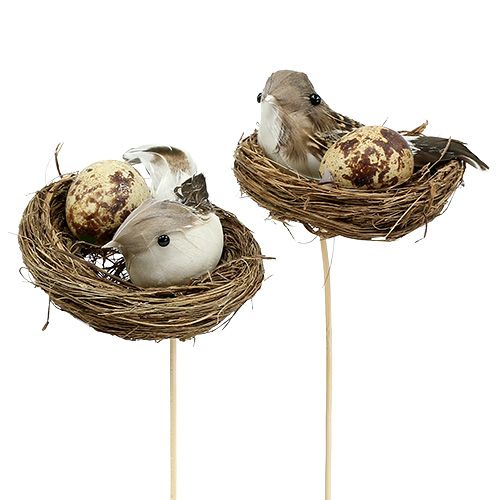 Floristik24 Vogelnest am Stab Ø7cm L24cm 6St