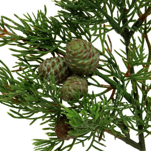 Floristik24 Wacholderzweig mit Zapfen Grün 39cm 3St
