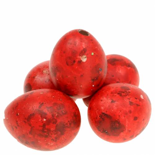 Floristik24 Wachteleier Rot Ausgeblasene Eier 50 St