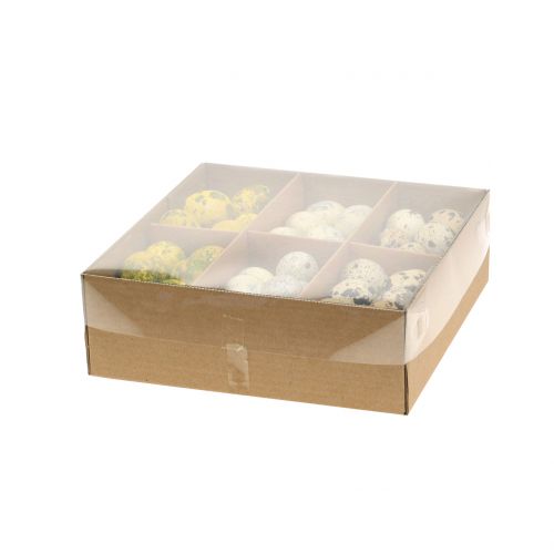 Floristik24 Wachteleier Sortiment Gelb, Natur 3cm 62St