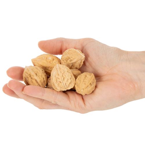 Walnüsse zur Dekoration Naturbraun 3-4cm 300g | Floristik24.at