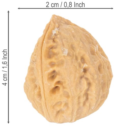 Walnüsse zur Dekoration Naturbraun 3-4cm 300g | Floristik24.at