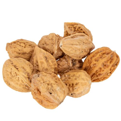 Walnüsse Naturprodukt 4–5 cm Naturbraun 300 g für Dekoration | Floristik24.at