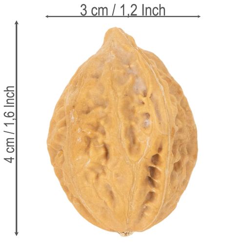 Walnüsse Naturprodukt 4–5 cm Naturbraun 300 g für Dekoration | Floristik24.at