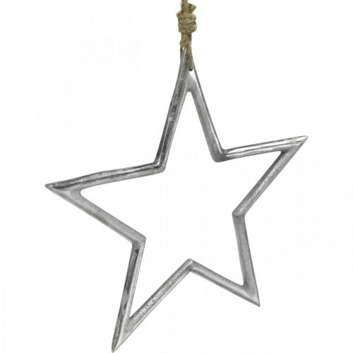 Floristik24 Weihnachtsdeko Stern, Adventsdeko, Stern Anhänger Silbern B24,5cm