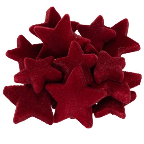 Weihnachtsdeko Sterne aus Kunststoff in Bordeaux, beflockt, Ø 4–5 cm, 40 Stück bestellen | Floristik24.at