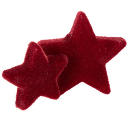 Weihnachtsdeko Sterne aus Kunststoff in Bordeaux, beflockt, Ø 4–5 cm, 40 Stück | Floristik24.at