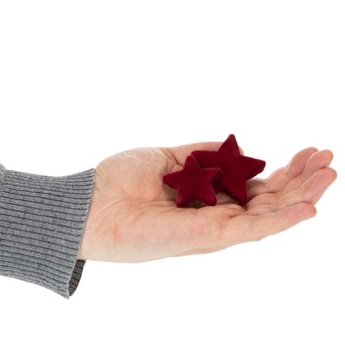 Weihnachtsdeko Sterne aus Kunststoff in Bordeaux, beflockt, Ø 4–5 cm, 40 Stück | Floristik24.at