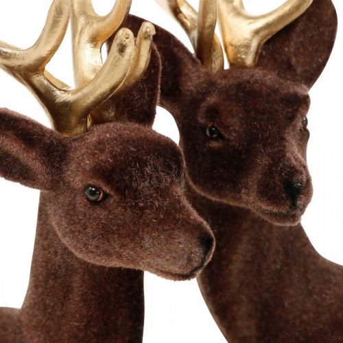 Floristik24 Weihnachtsdeko Deko-Hirsch zum Stellen Braun, Gold 20cm 2 St