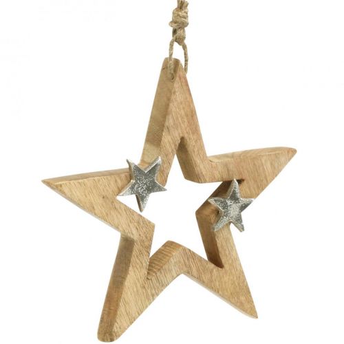 Floristik24 Weihnachtsstern zum Aufhängen Stern Holzdeko Weihnachten H22cm