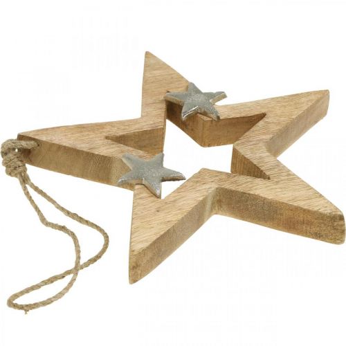 Floristik24 Weihnachtsstern zum Aufhängen Stern Holzdeko Weihnachten H22cm