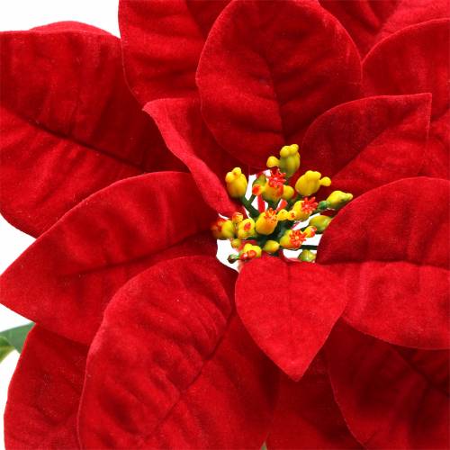 Floristik24 Weihnachtsstern Kunstblume Rot 67cm