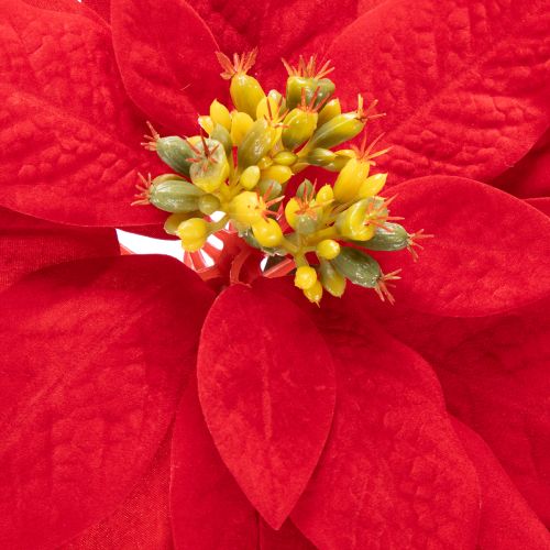 Kunstblume Weihnachtsstern Rot Einzelstiel 82 cm Kunststoff | Floristik24.at