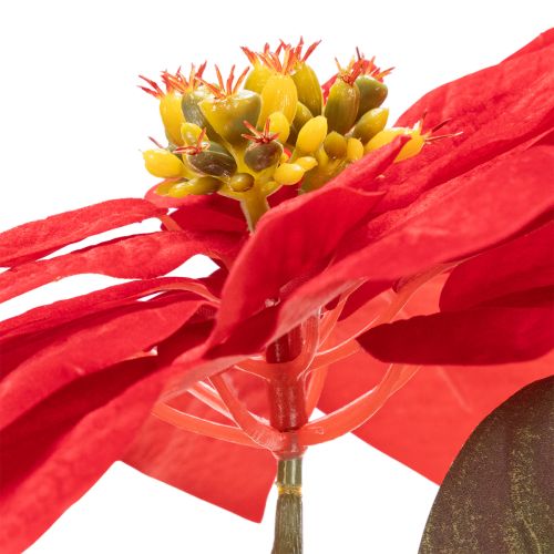Kunstblume Weihnachtsstern Rot Einzelstiel 82 cm Kunststoff | Floristik24.at