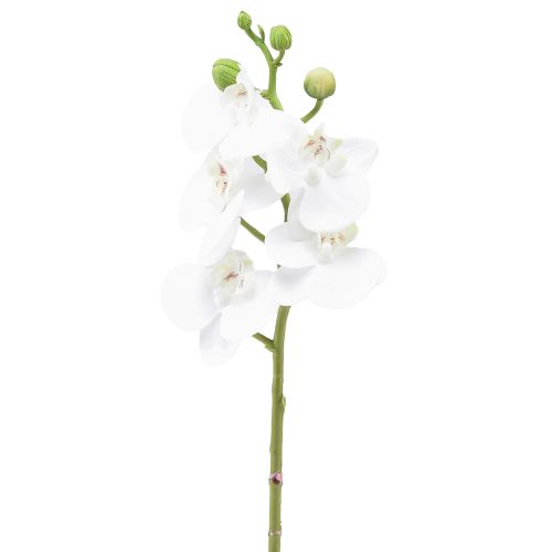 Weiße Orchidee Künstlich Phalaenopsis Real Touch 32cm