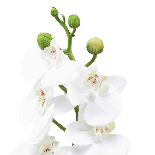 Artikel Weiße Orchidee Künstlich Phalaenopsis Real Touch 32cm