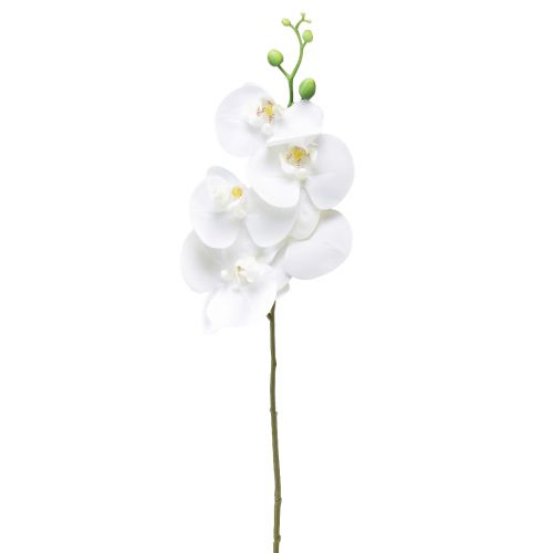 Weiße Orchidee Künstlich Phalaenopsis Real Touch 85cm