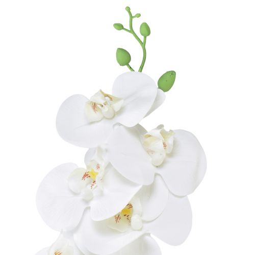 Artikel Weiße Orchidee Künstlich Phalaenopsis Real Touch H83cm