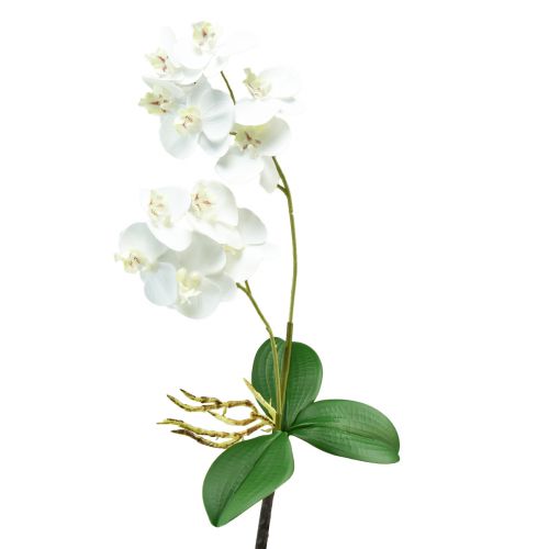 Floristik24 Weiße Orchidee am Pick Künstlich Phalaenopsis Real Touch 39cm